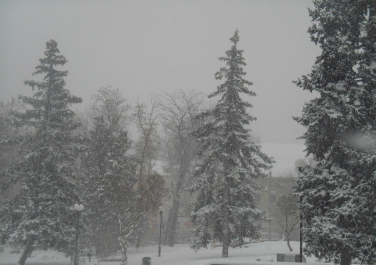 Луганск, 30 ноября 2014 года, Пасмурно, Снег