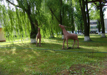 Лутугино, парк, олени