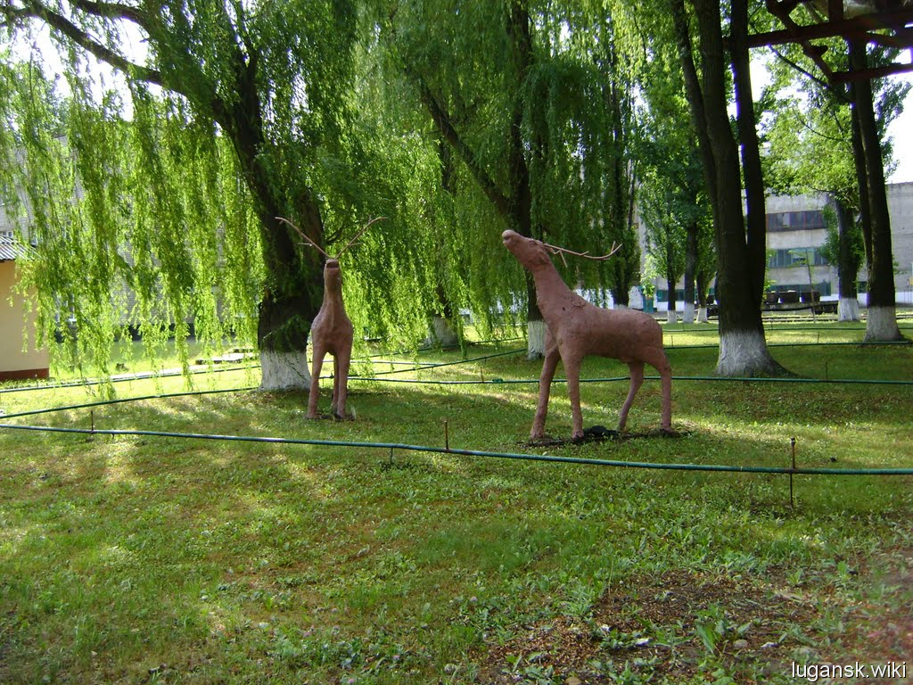 Лутугино, парк, олени