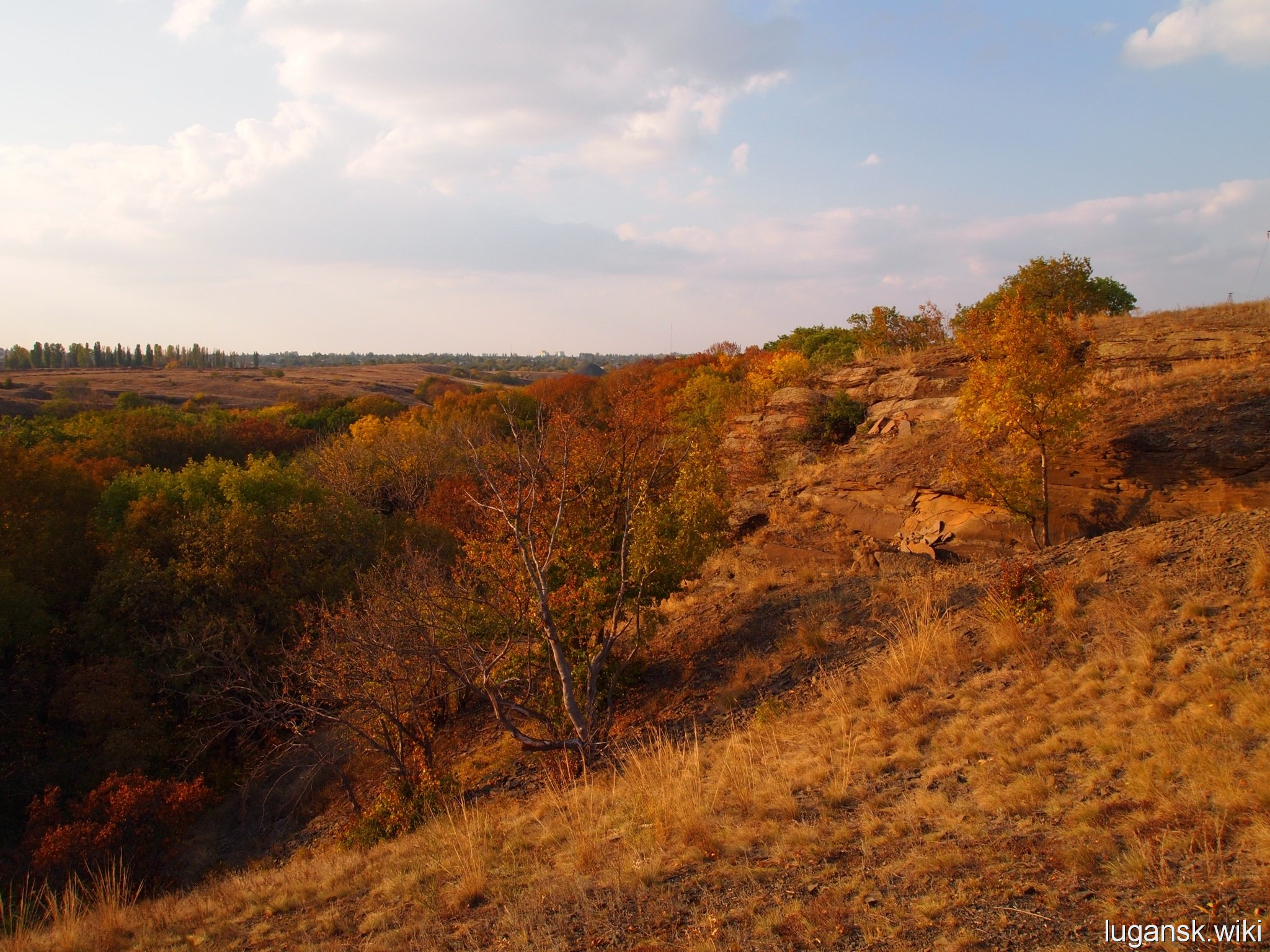 Ровеньки