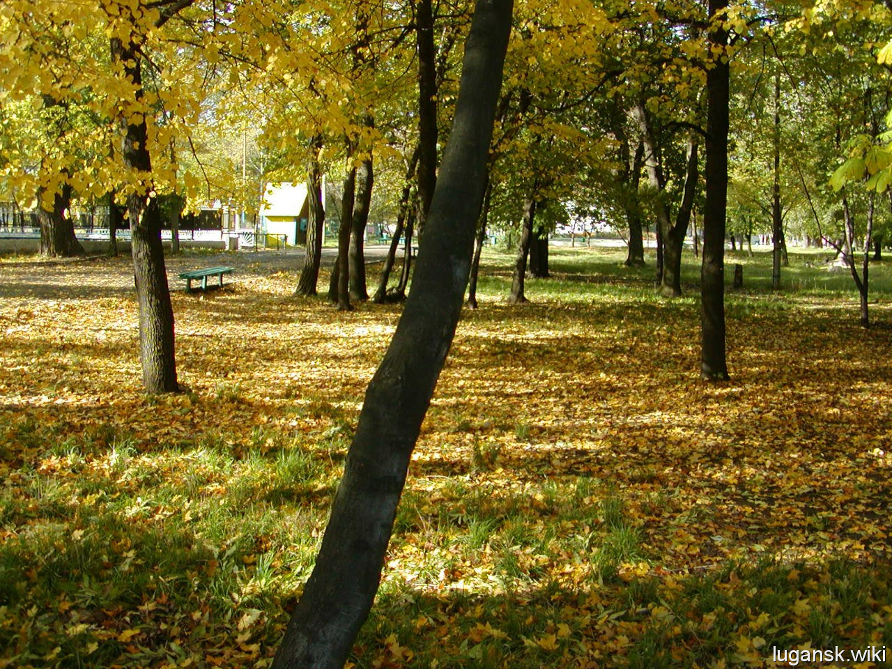 Ровеньки