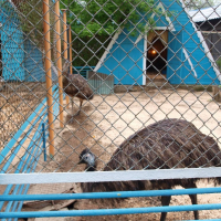 Зоопарк (Луганск)