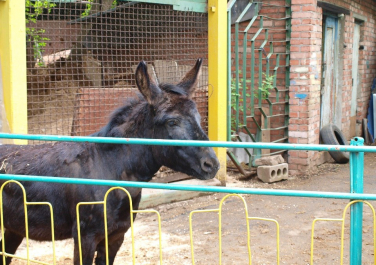 Зоопарк (Луганск)
