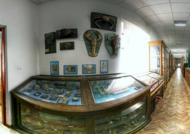Зоологический музей Луганского университета (Луганск)