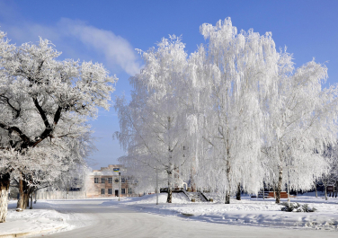Зима в Краснодоне, Современные, Цветные, Профессиональные, Снег
