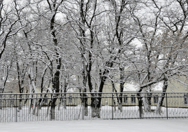 Зима в Краснодоне, Современные, Цветные, Профессиональные, Снег