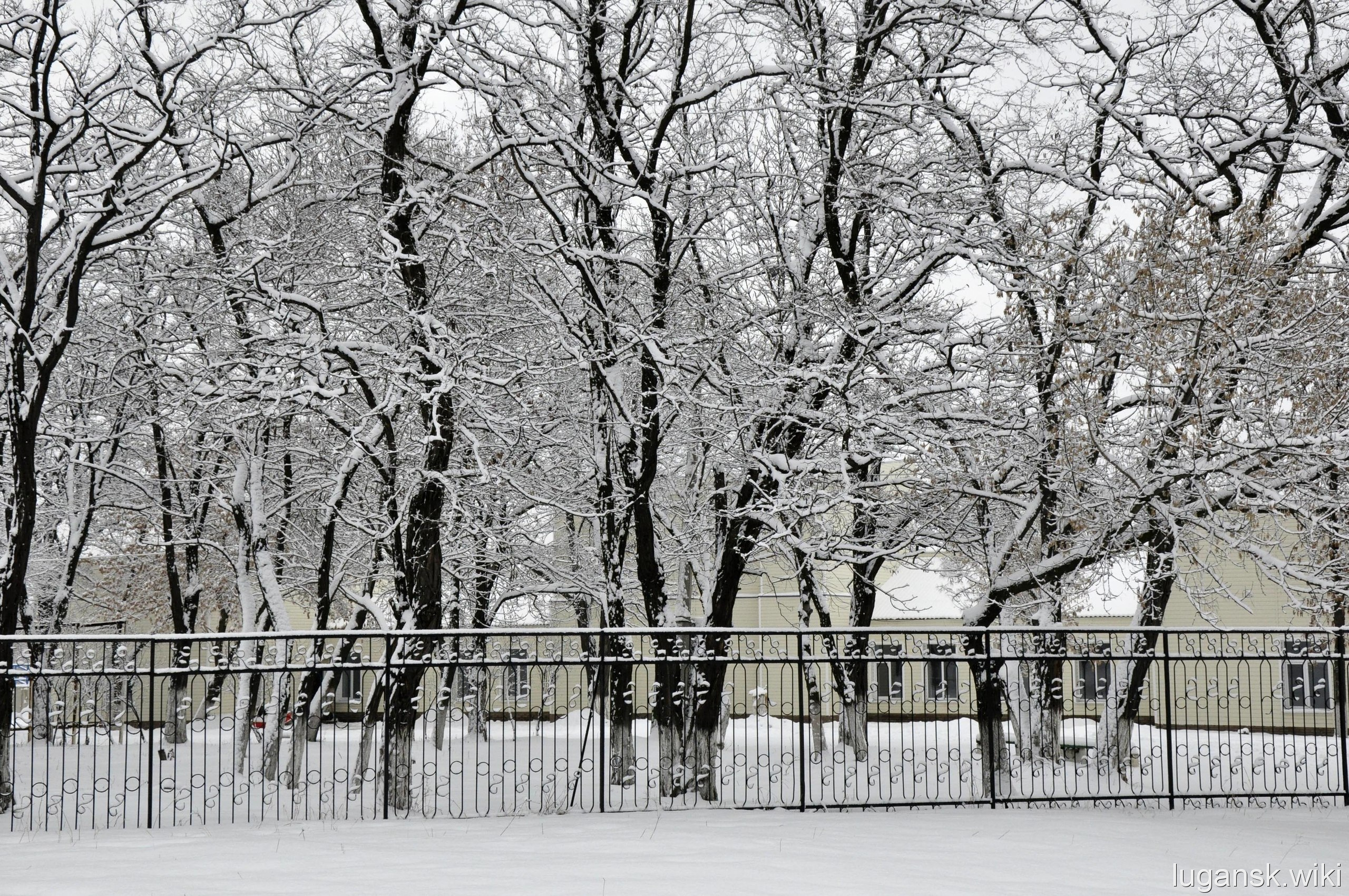 Зима в Краснодоне