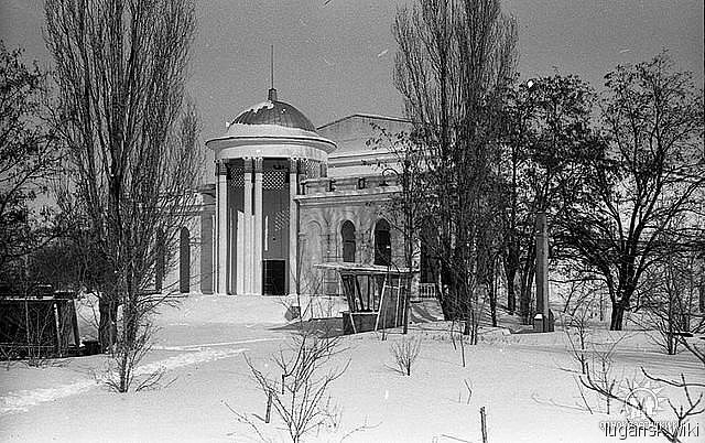 Летний кинотеатр в парке