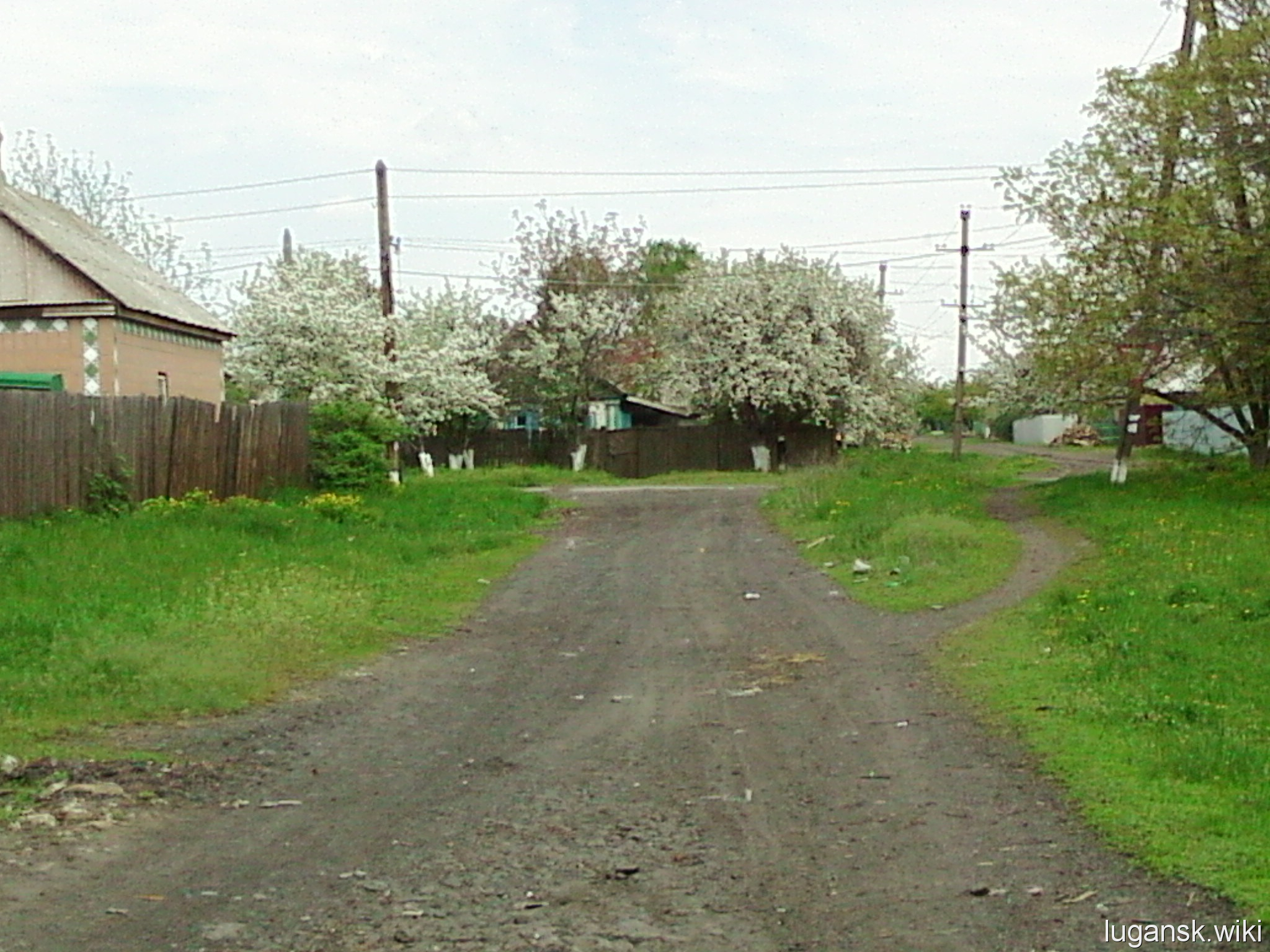 Ровеньки