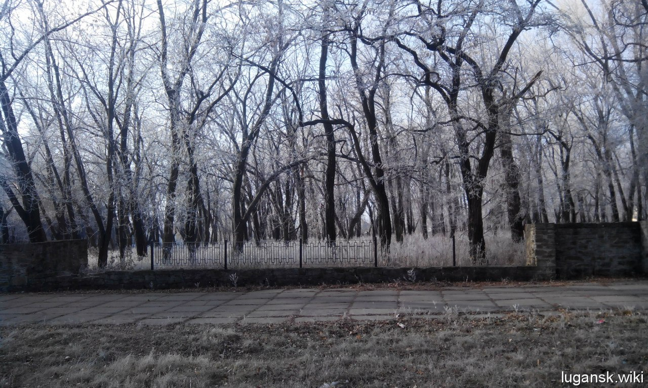 Ровеньки