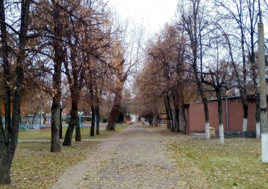 Старобельск, Парк